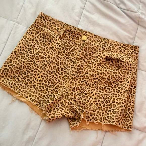 Spring Cleaning and Moving! Declutter time! - Picture 3 of 4